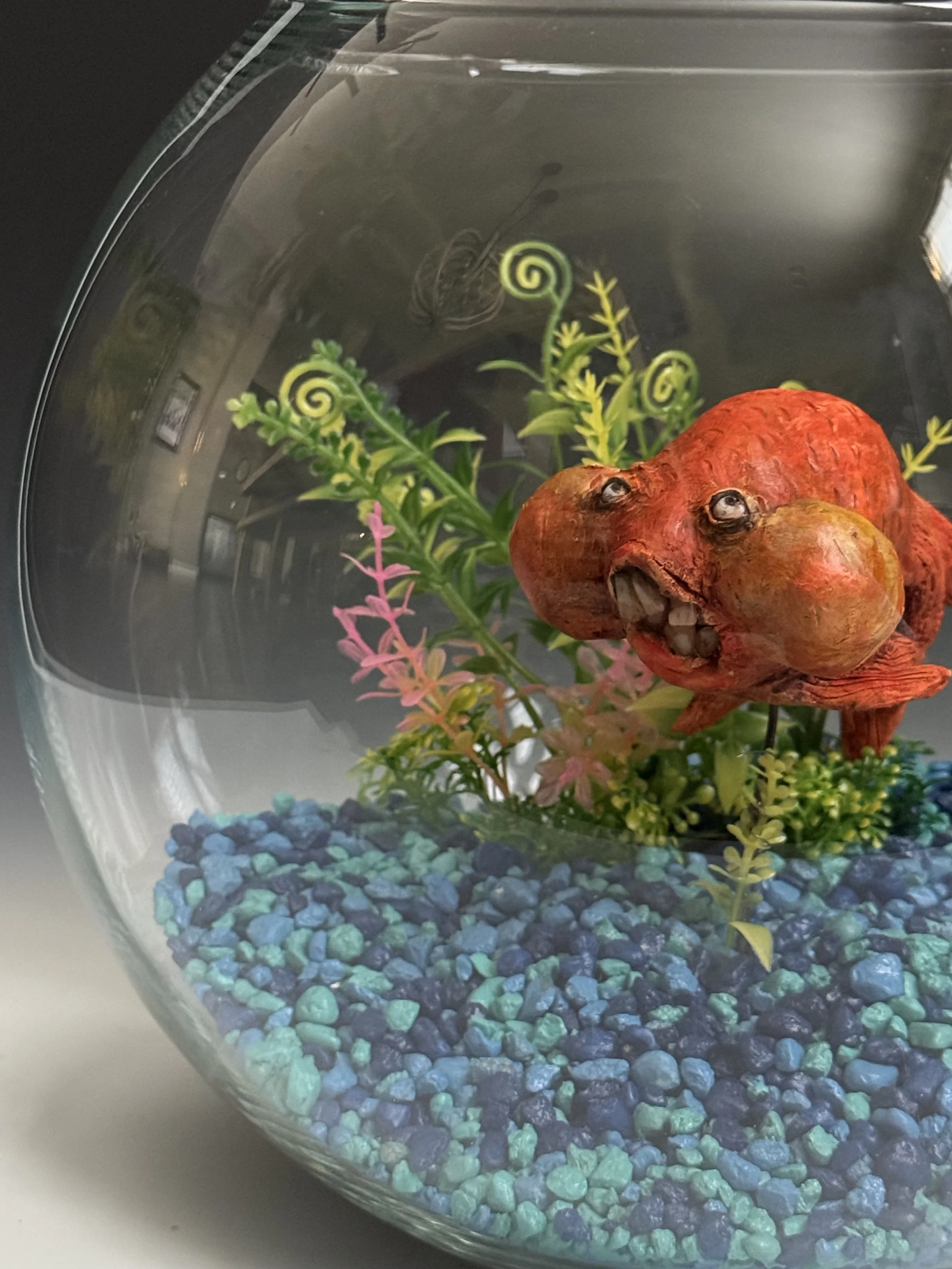62 - Steve Jones - Goldfish