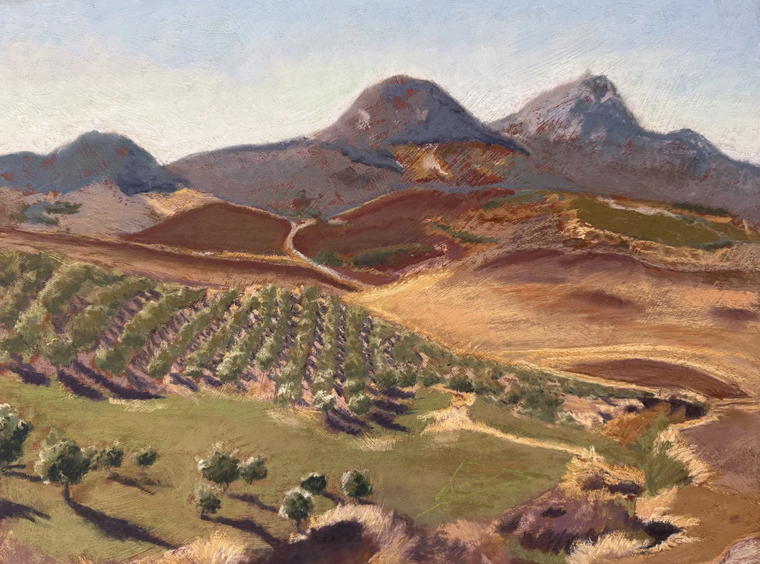 105 - Amie Schilson - Vineyard in Spain