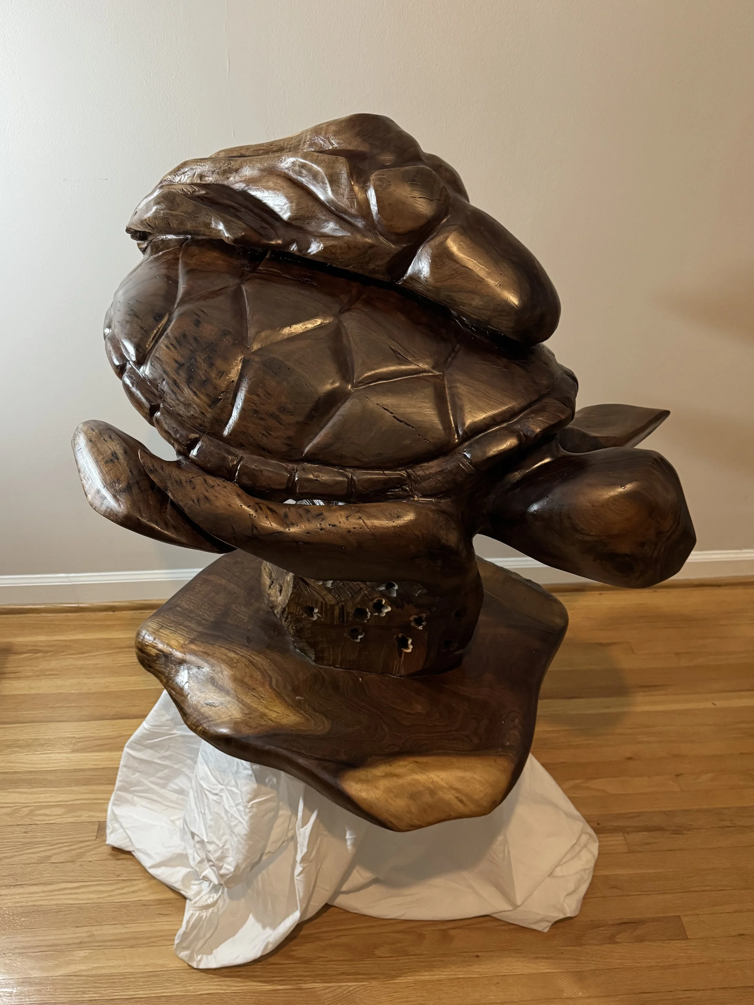109 - Tom Seeger - Octopus Riding a Sea Turtle