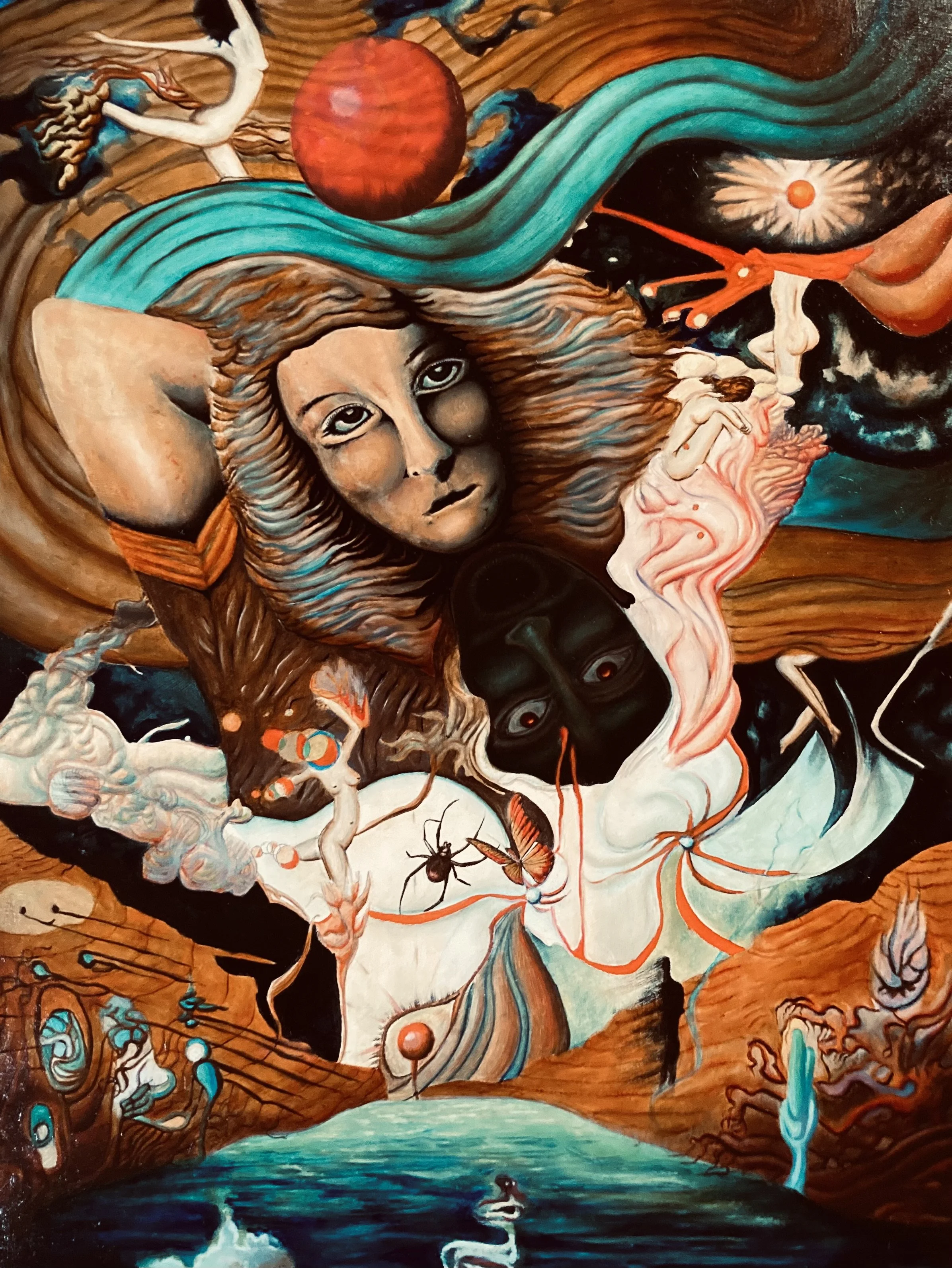 Avery DiFranco - Spider Butterfly