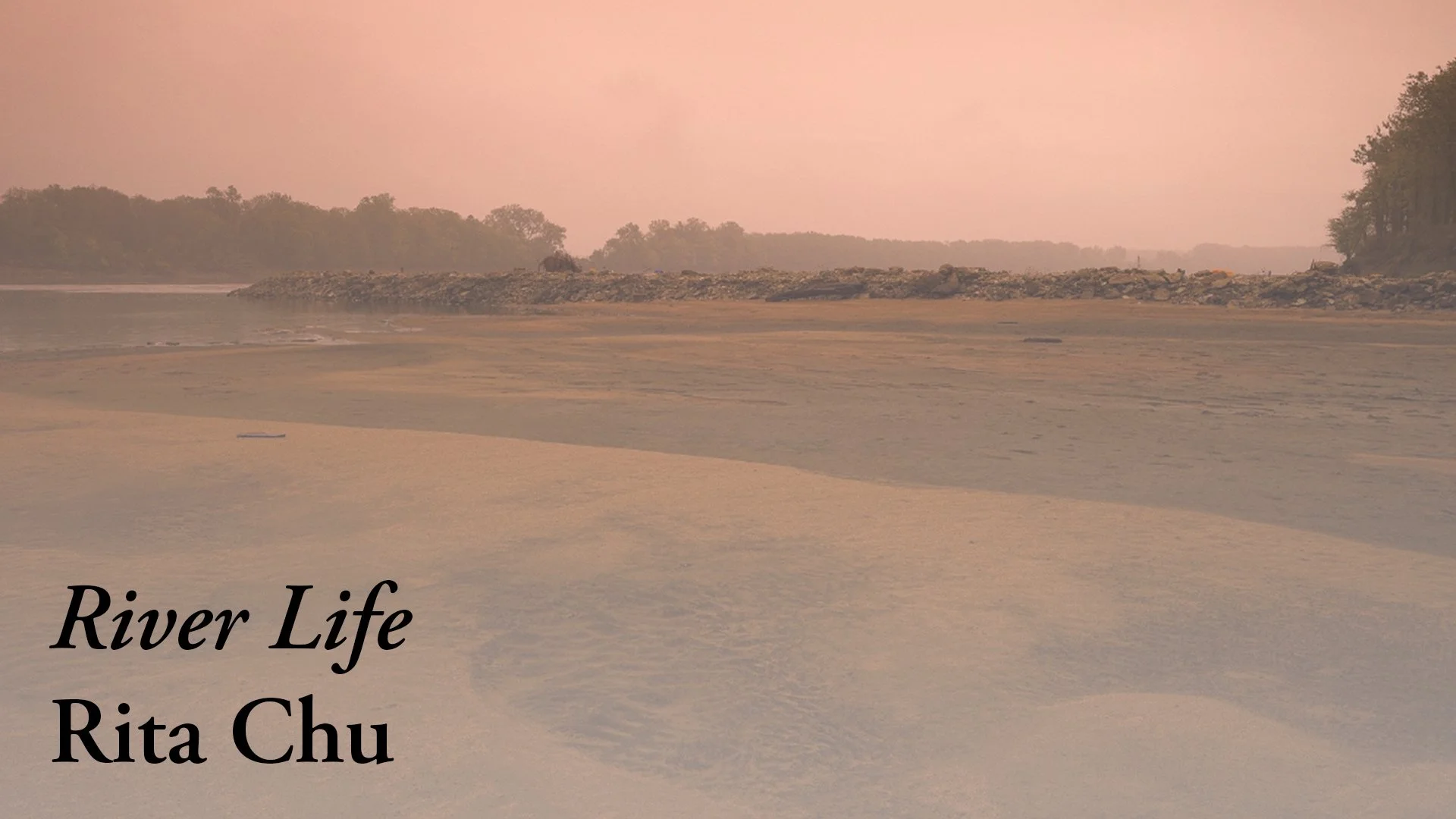 riverlife_banner.jpg