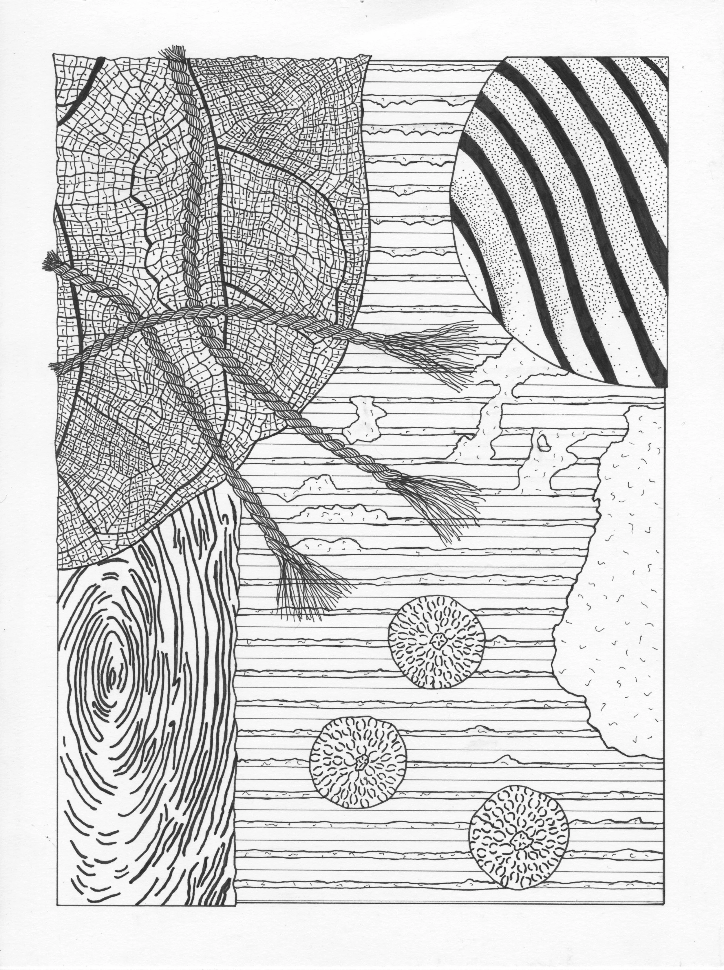 06 Texture Drawing TB24.jpeg