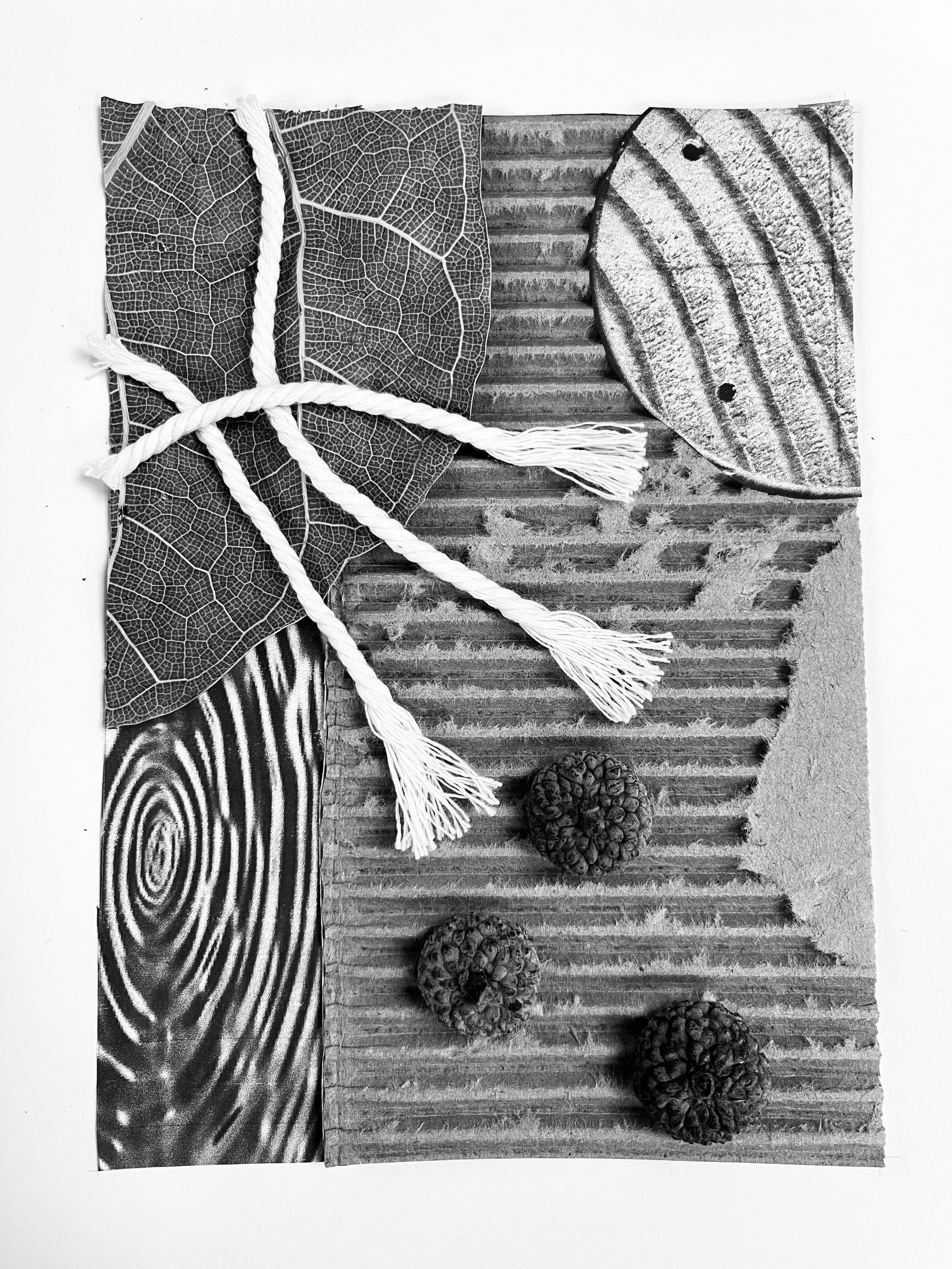 06 Collage TB24.jpg