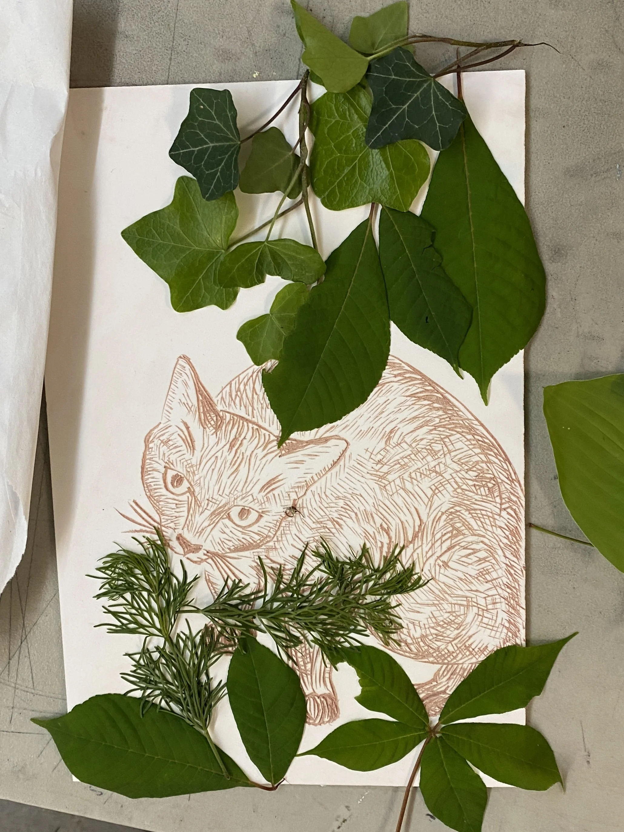Introduction to Collagraph Printmaking, August 4 - September 8, 2026