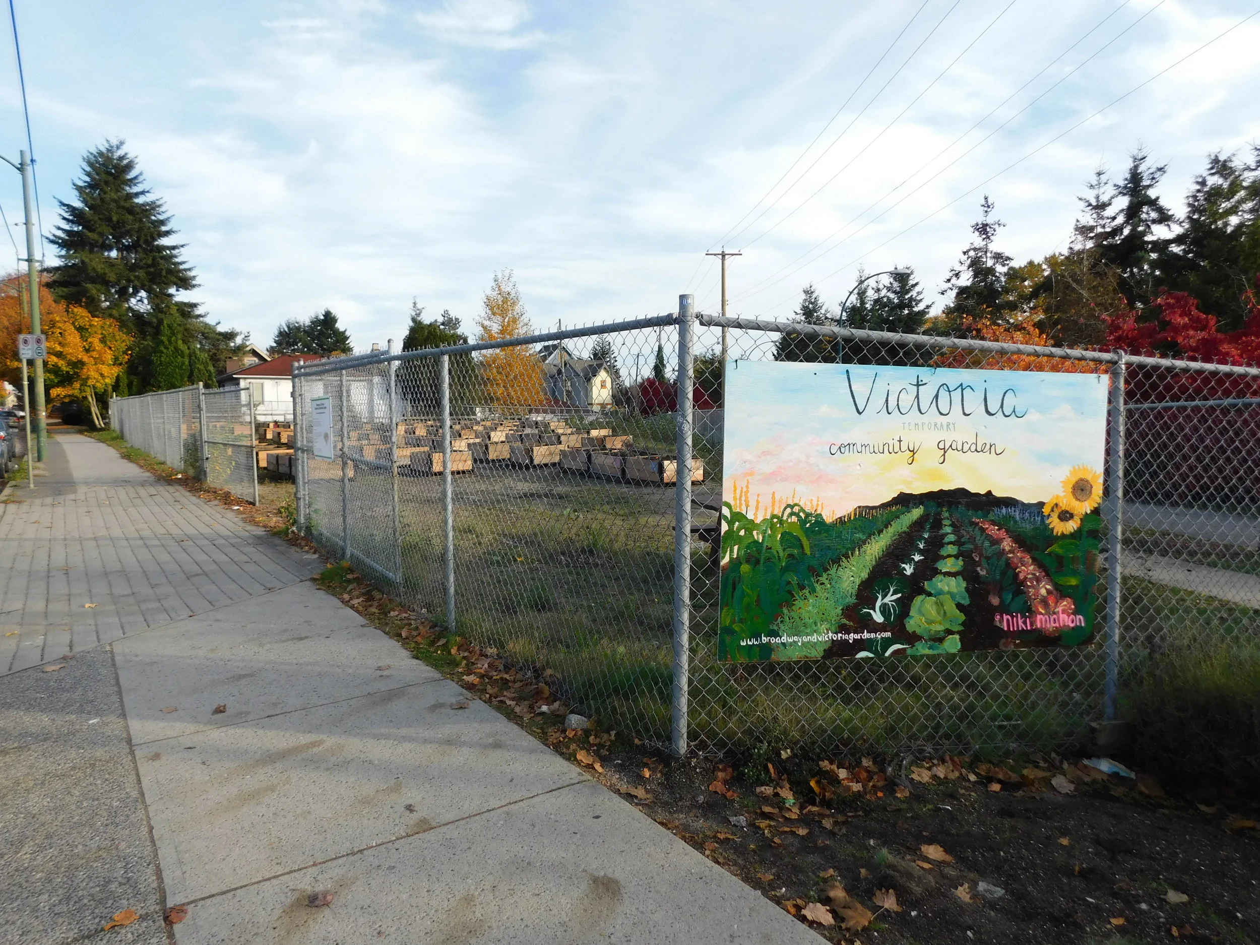 Victoria_Broadway_Vancouver_Community_Garden_Builders-0015.JPG