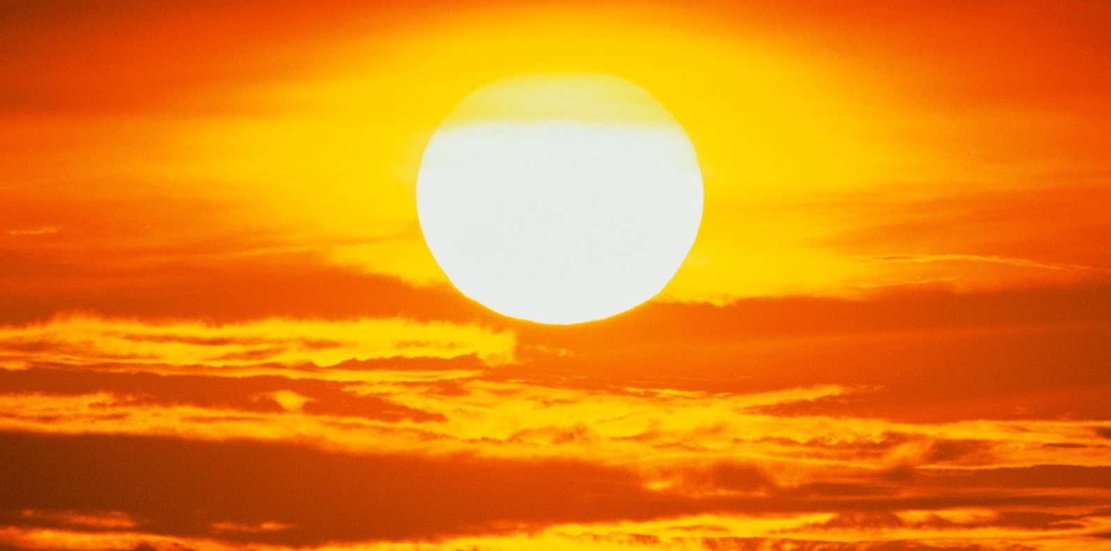 Beat the Heat This August!