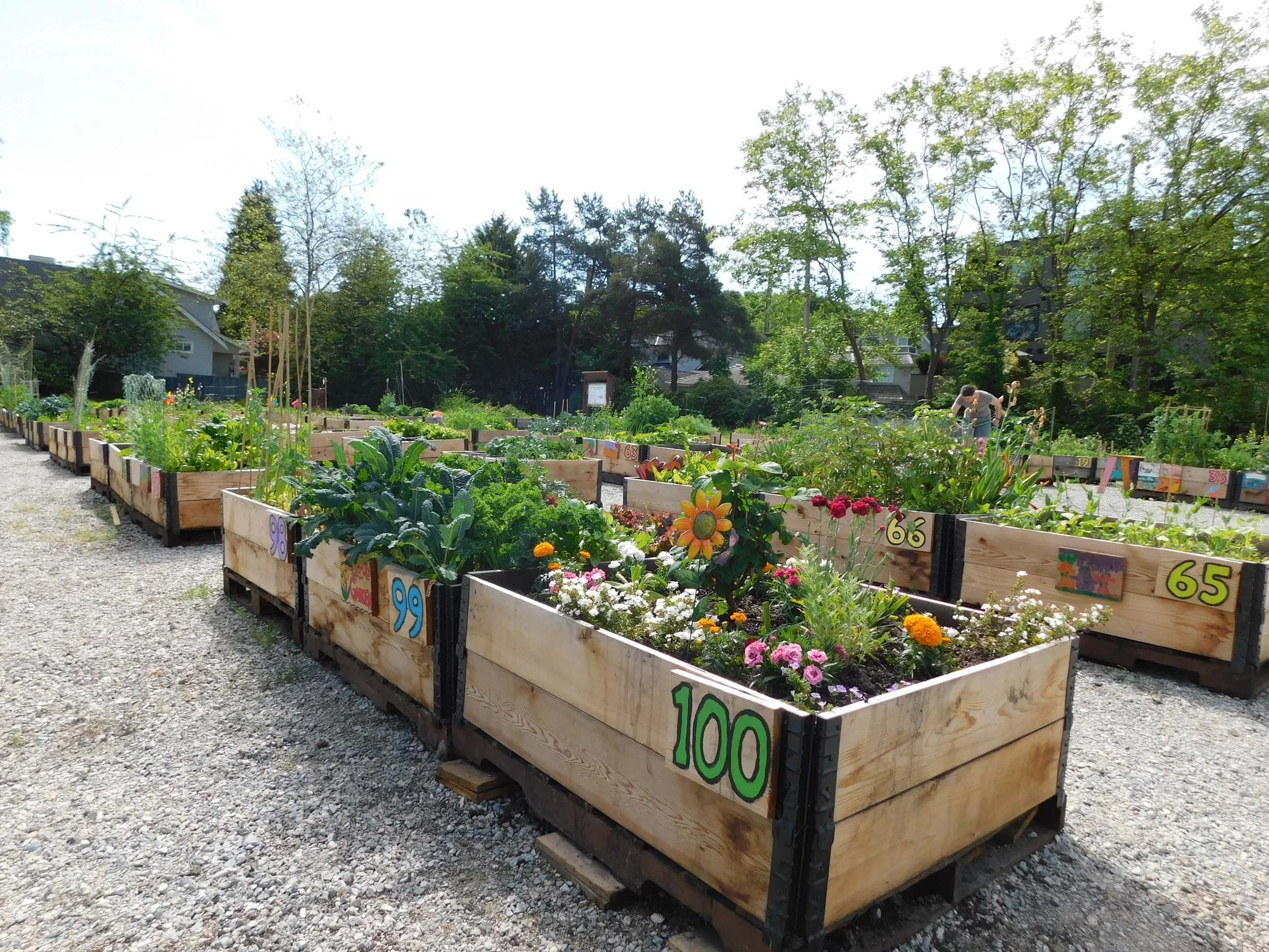 Raised Garden Beds - just in time for spring planting