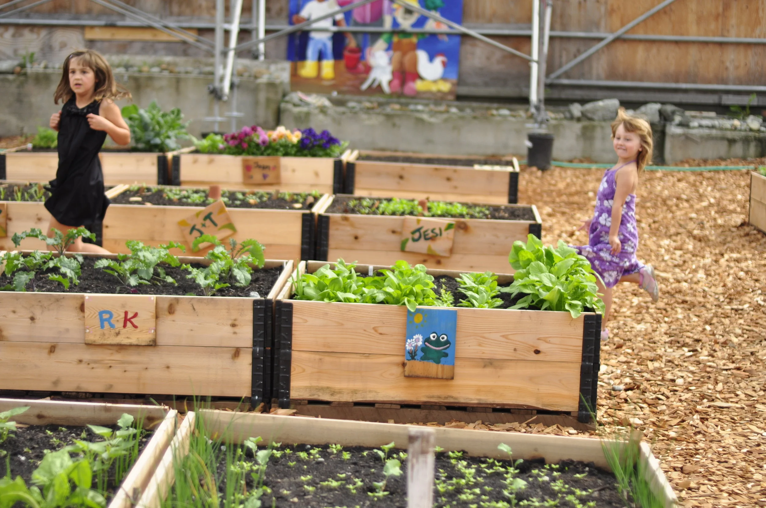 fall and raised garden beds