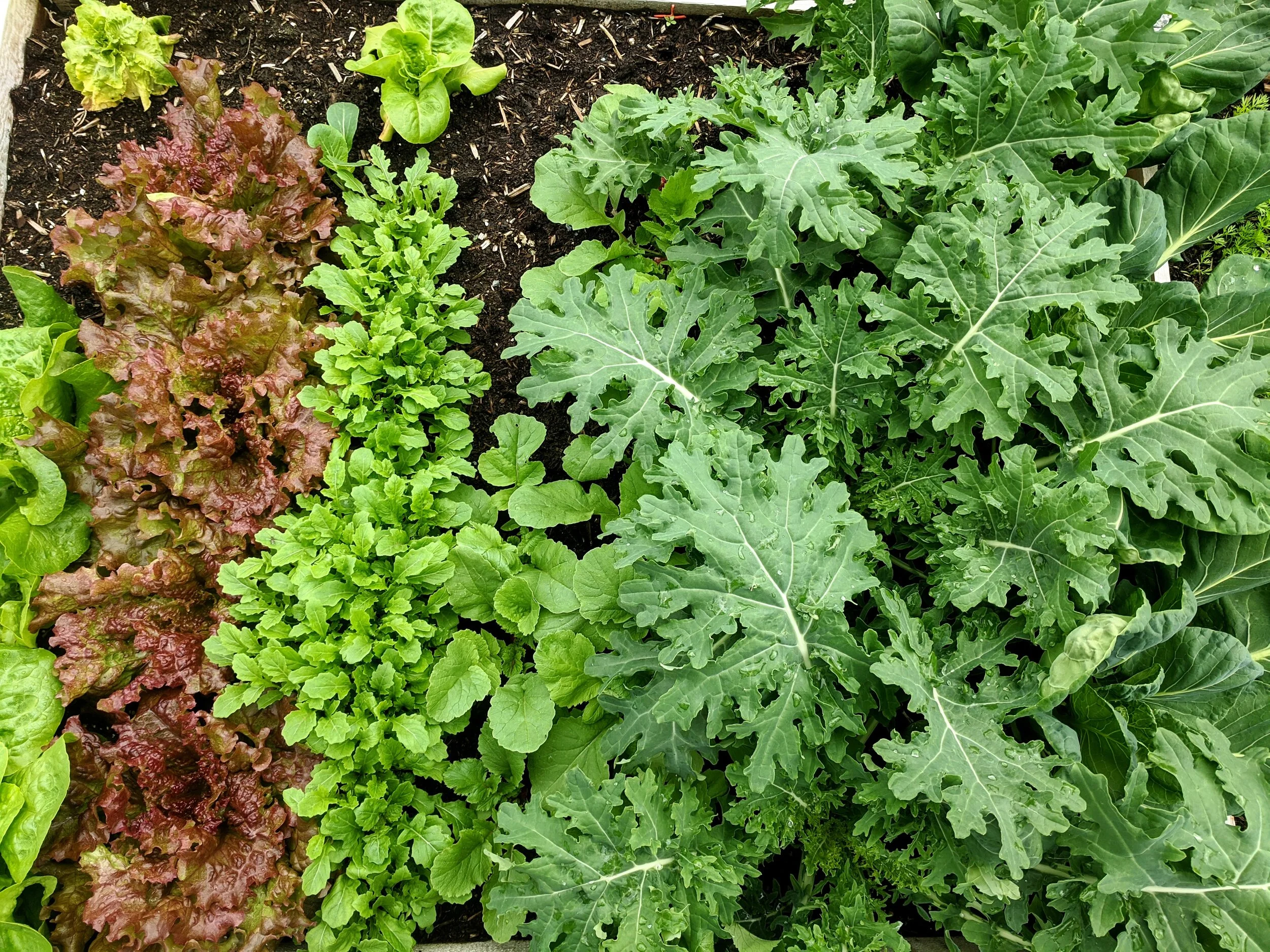 June at Broadway &amp; Victoria