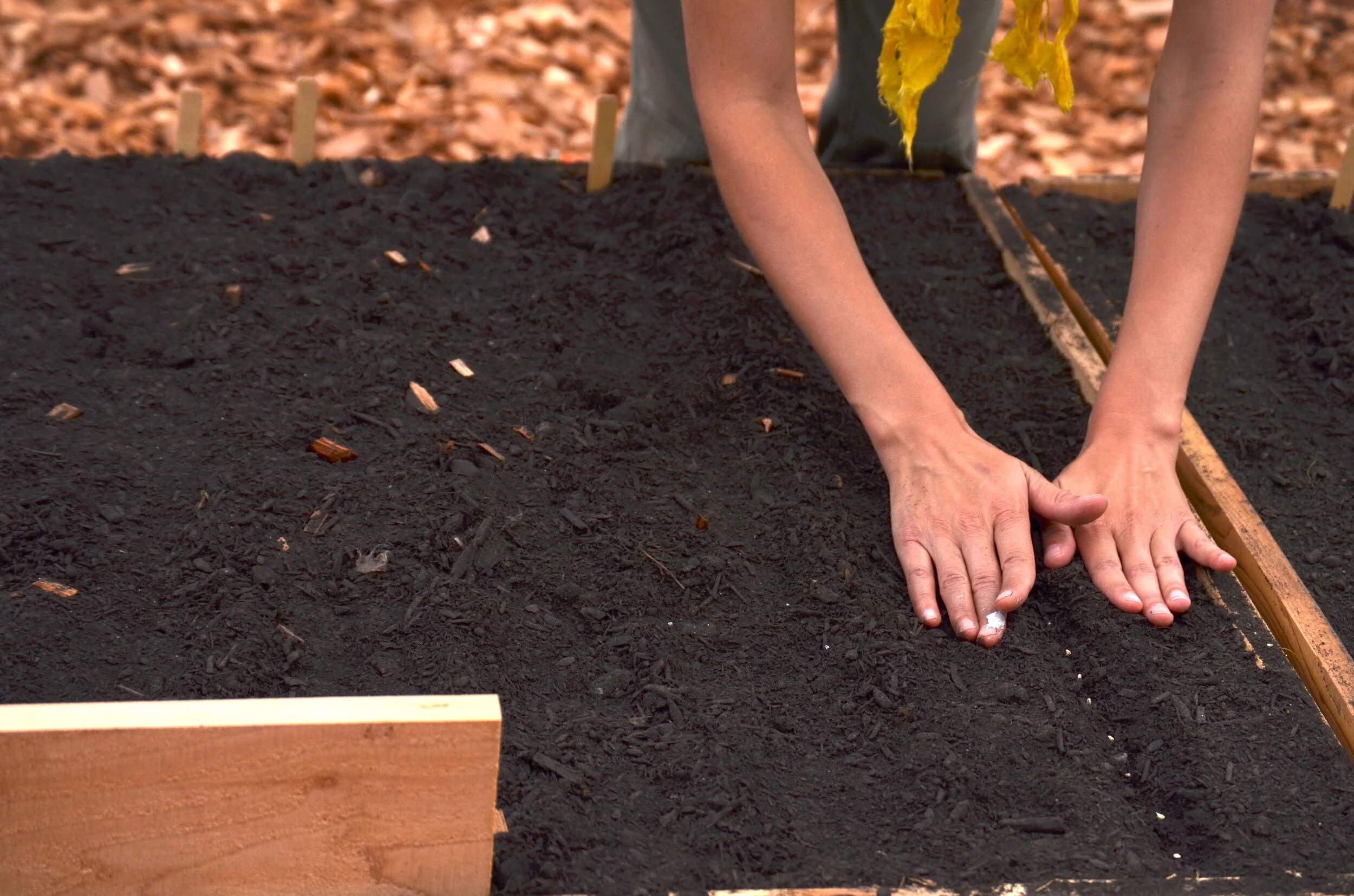 Growing in a raised garden bed in the cooler months