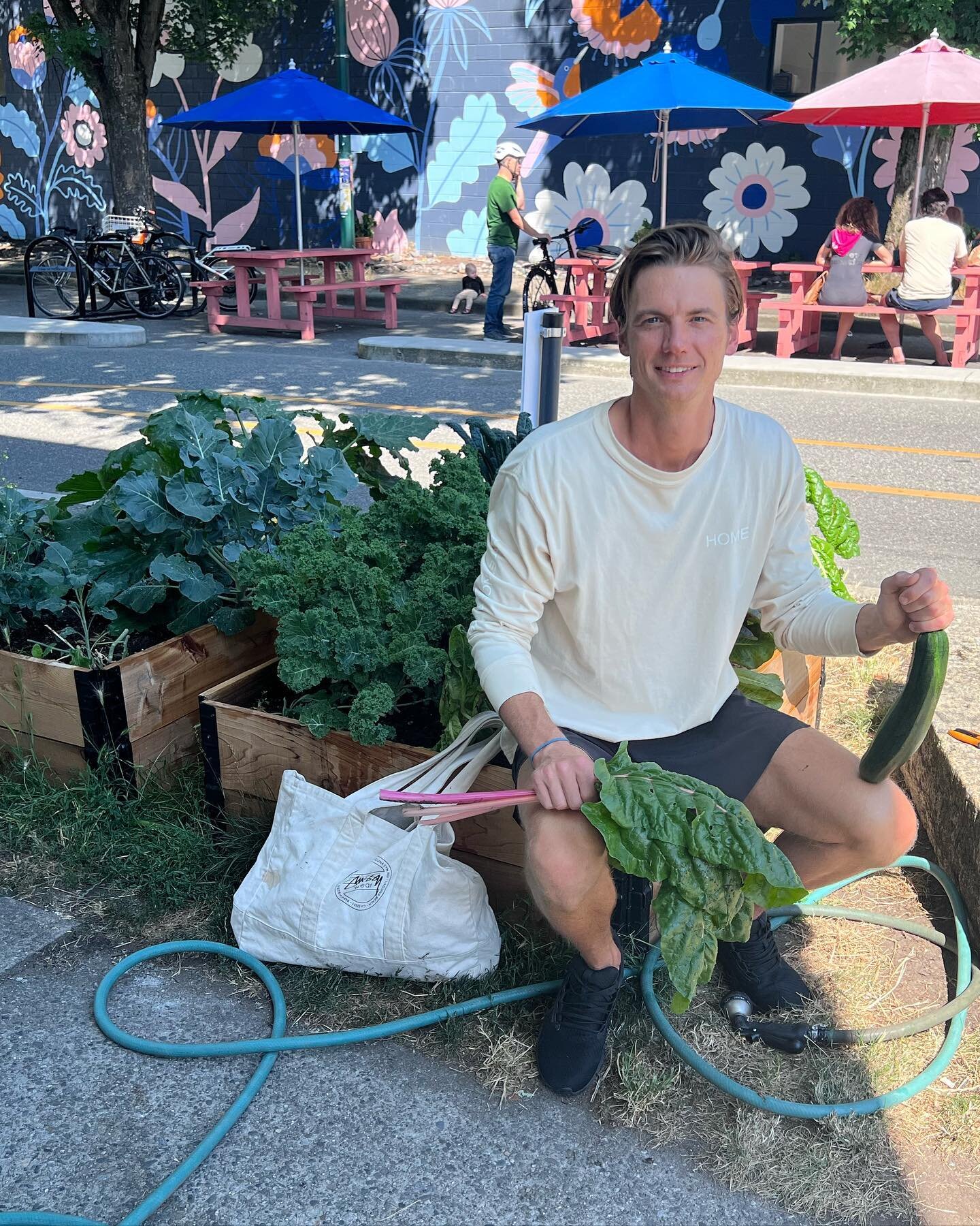 longtime builder, first time gardener 🌱👨&zwj;🌾🥬🌞🥦💦🥒😍