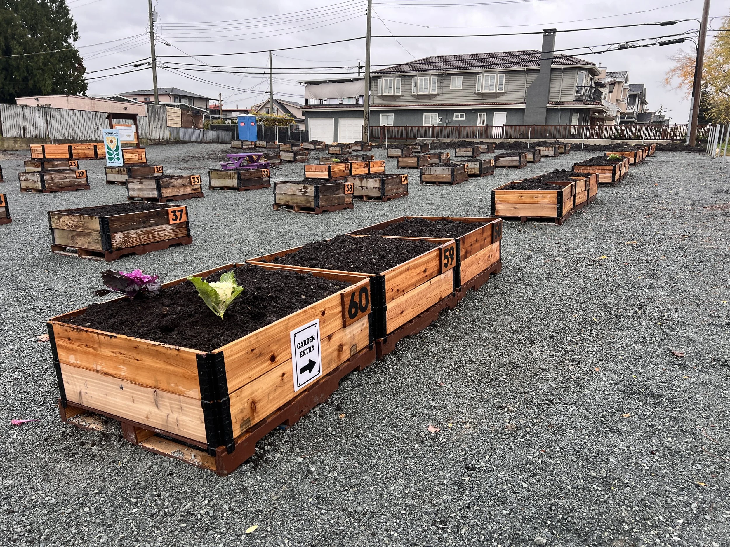 Temporary Growing Space