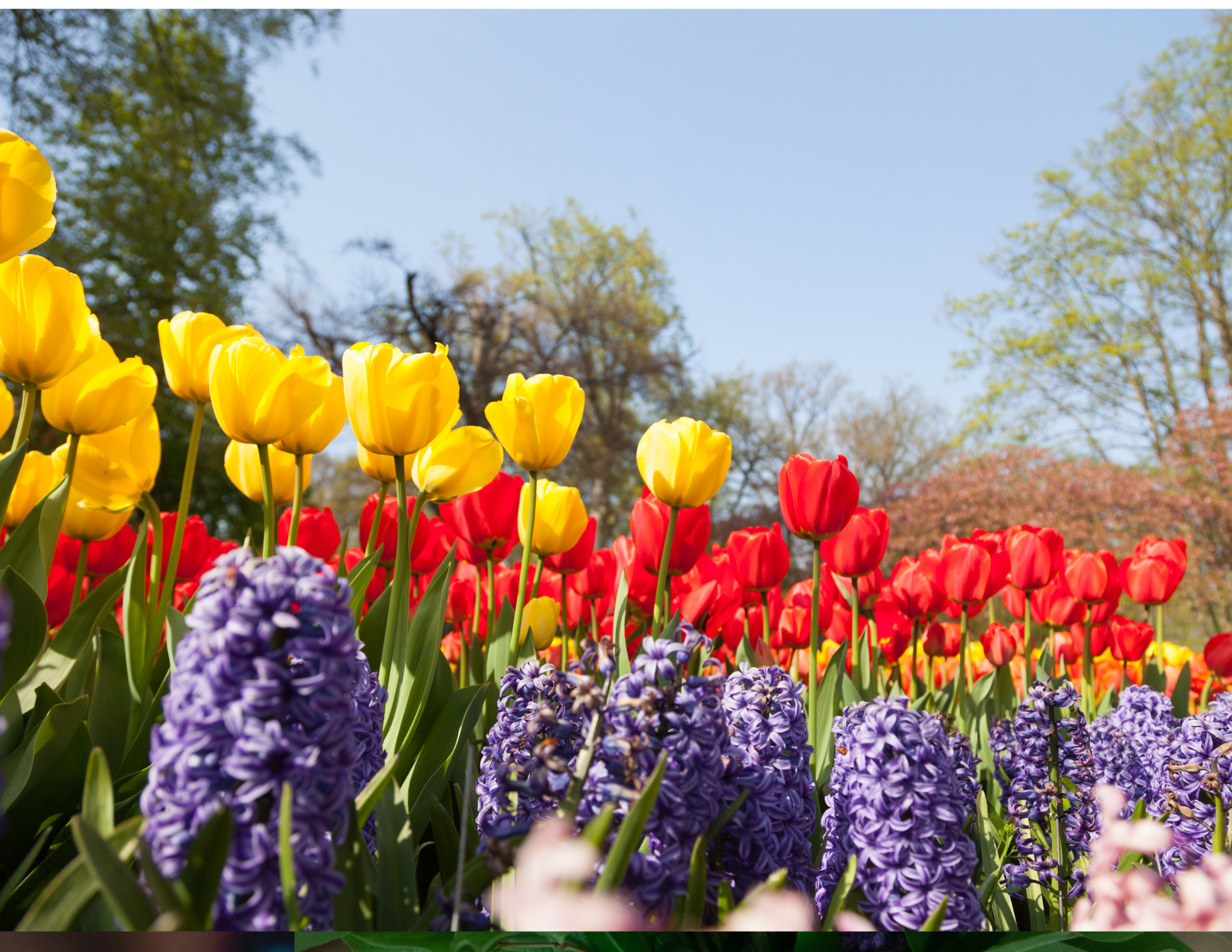 April @ The Cambie + King Ed Garden!