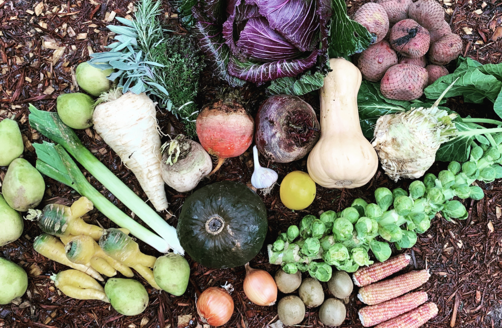 October @ The Hemlock Garden!