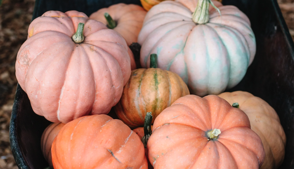 October @ The West 10th Garden!