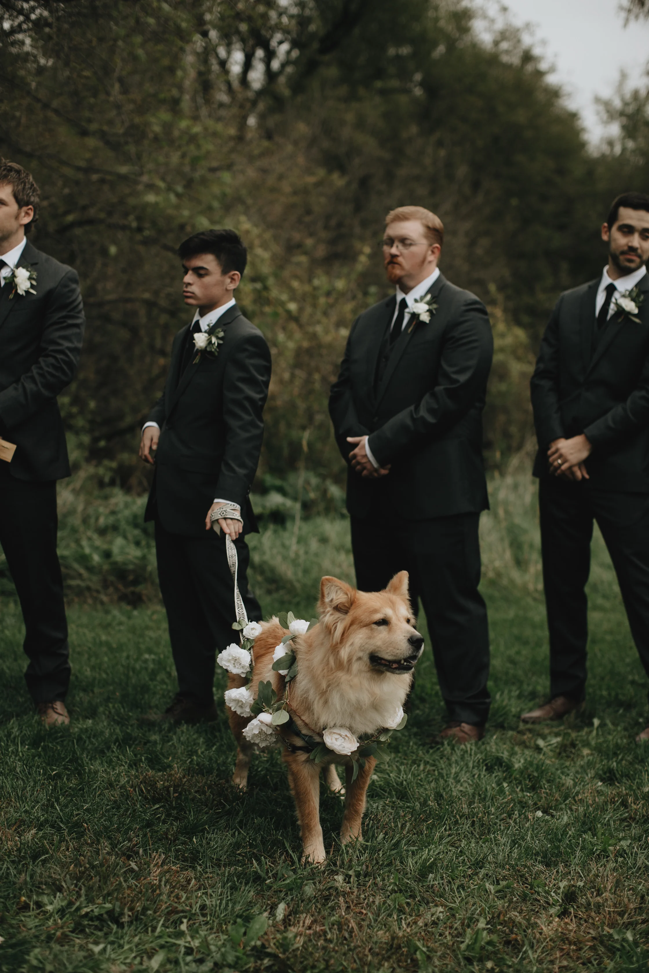 Audre Rae Photography