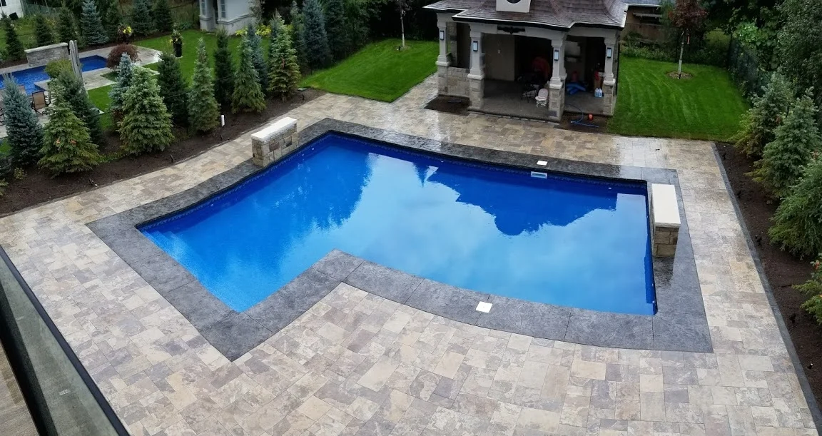 back yard.jpg