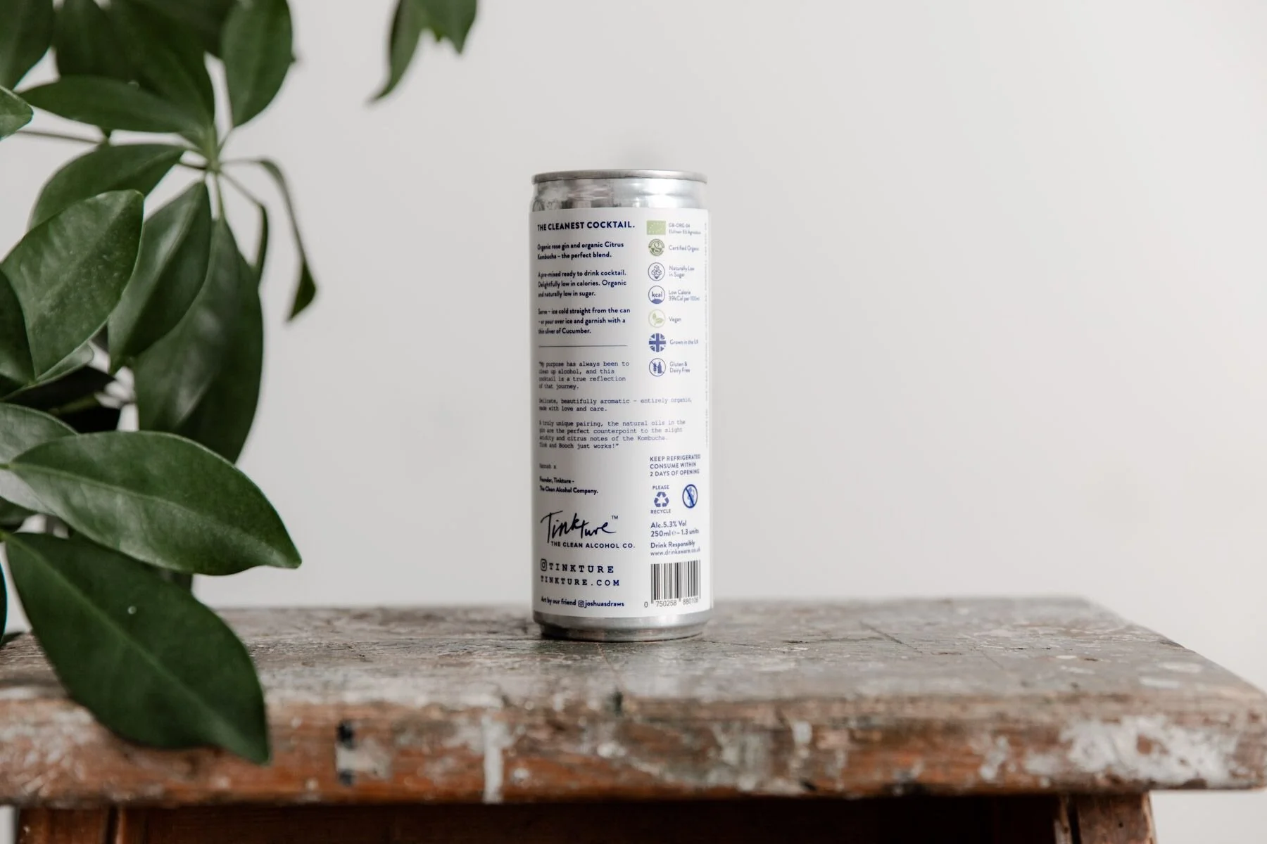 tink n booch back with plant NMg0PLPQ.jpeg