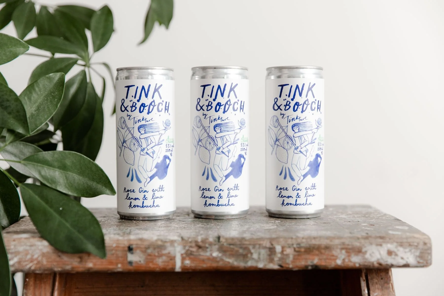 tink n booch 3 cans with plant fPxE-rpY.jpeg