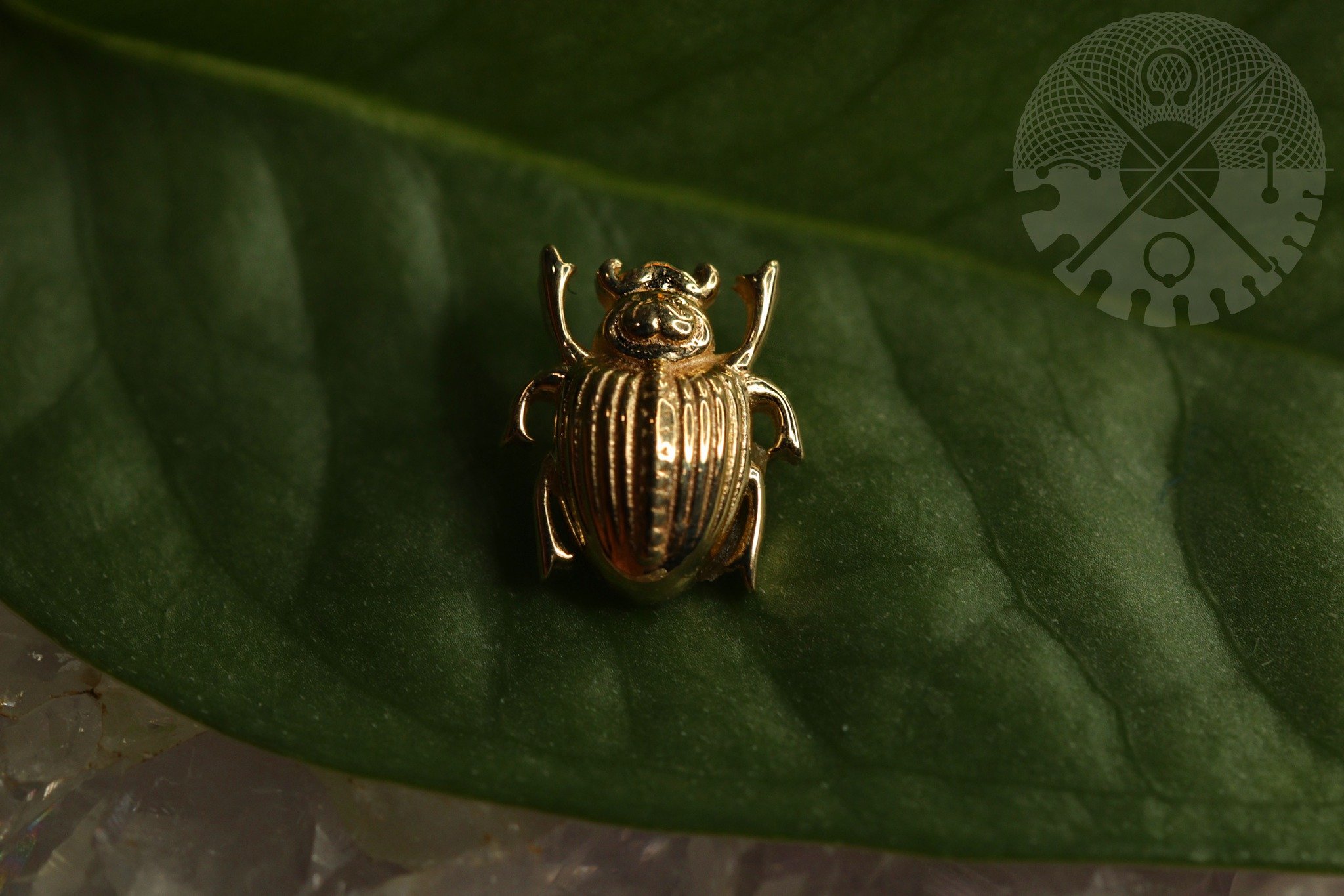 Happy Earth Day, here is a beautiful scarab beetle from BVLA in case you needed a cute little guy on your feed :)

@bvlalove @bvla 

Good Life is appointment only for all services, consultations and even just to browse our jewelry selection. We are a