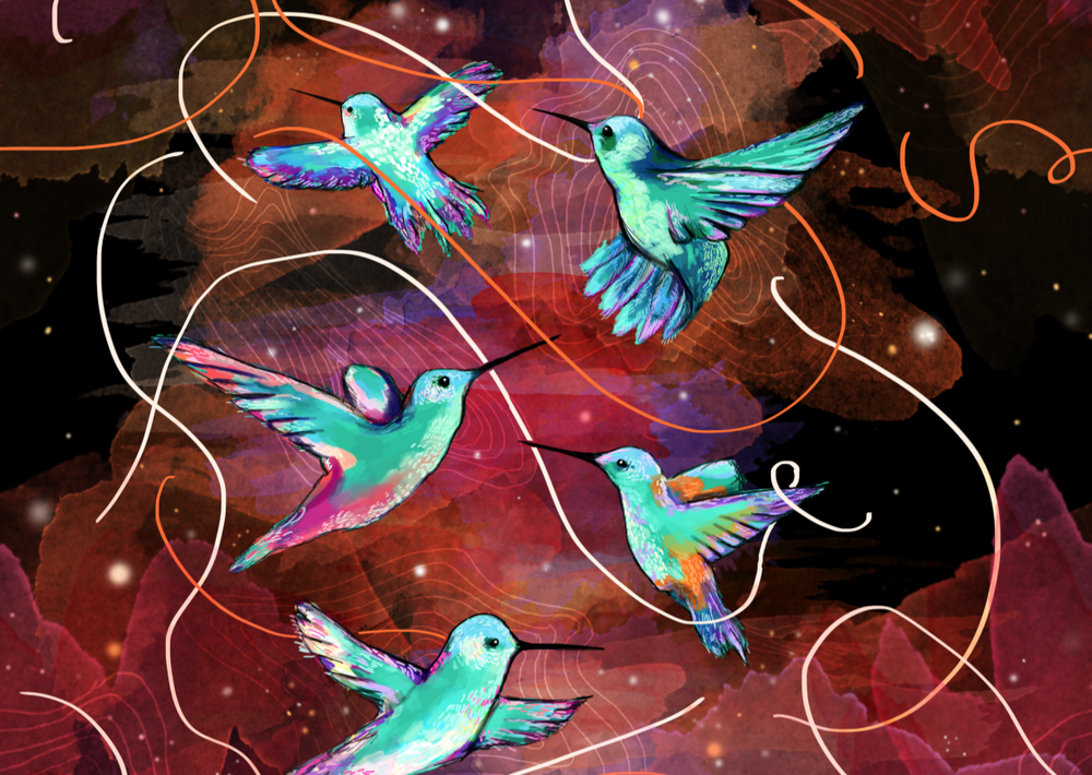 birds_1.png