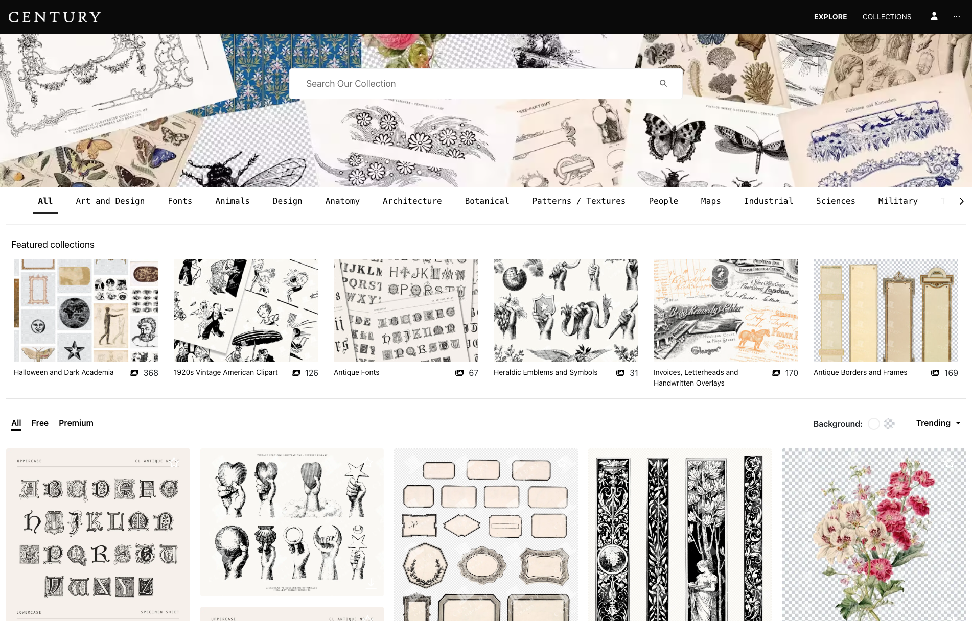 A screenshot ofcentury library.com showing what their homepage looks like with an array of vintage graphics, fonts, flowers, and banners.