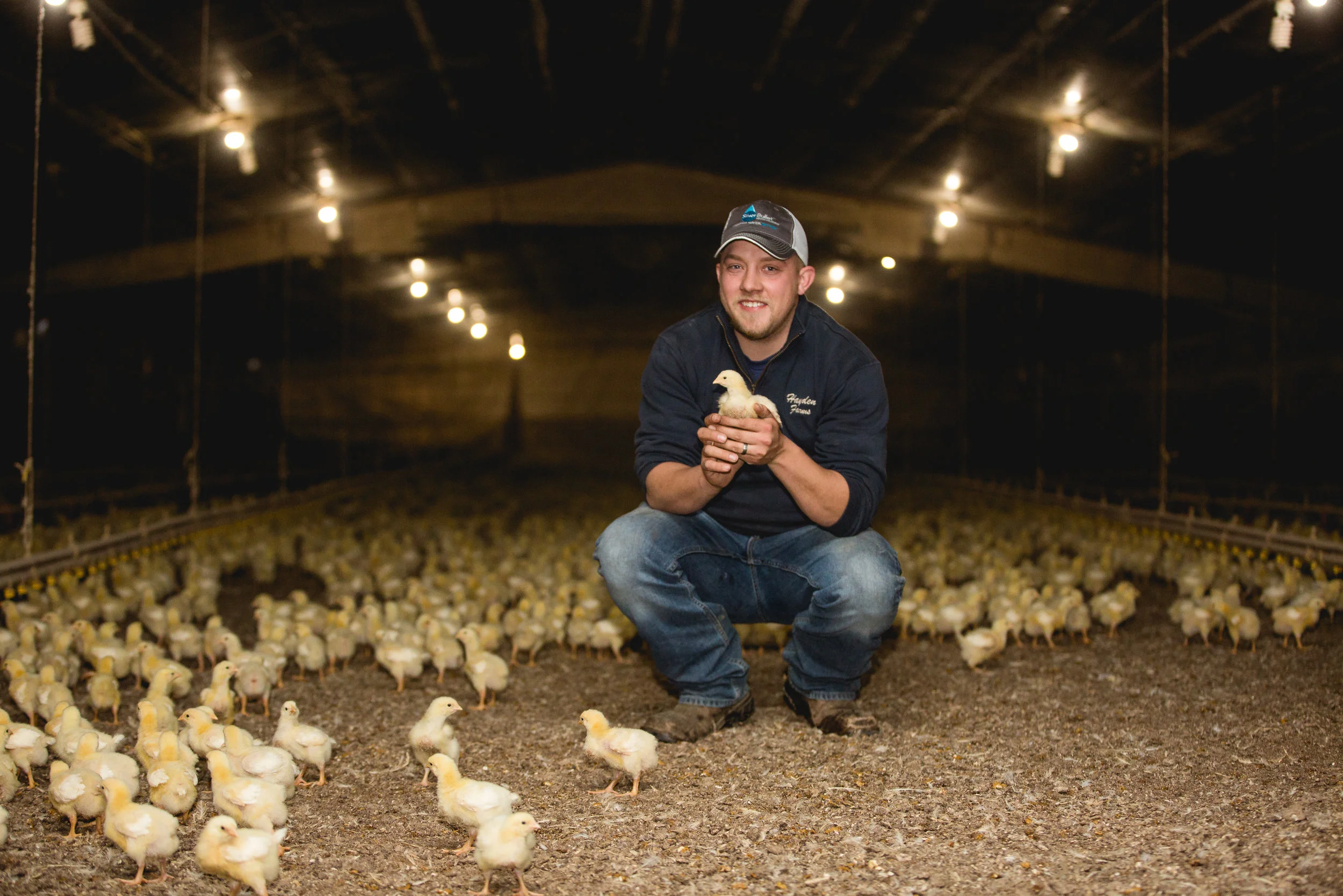 HaydenFarms-Poultry.jpg