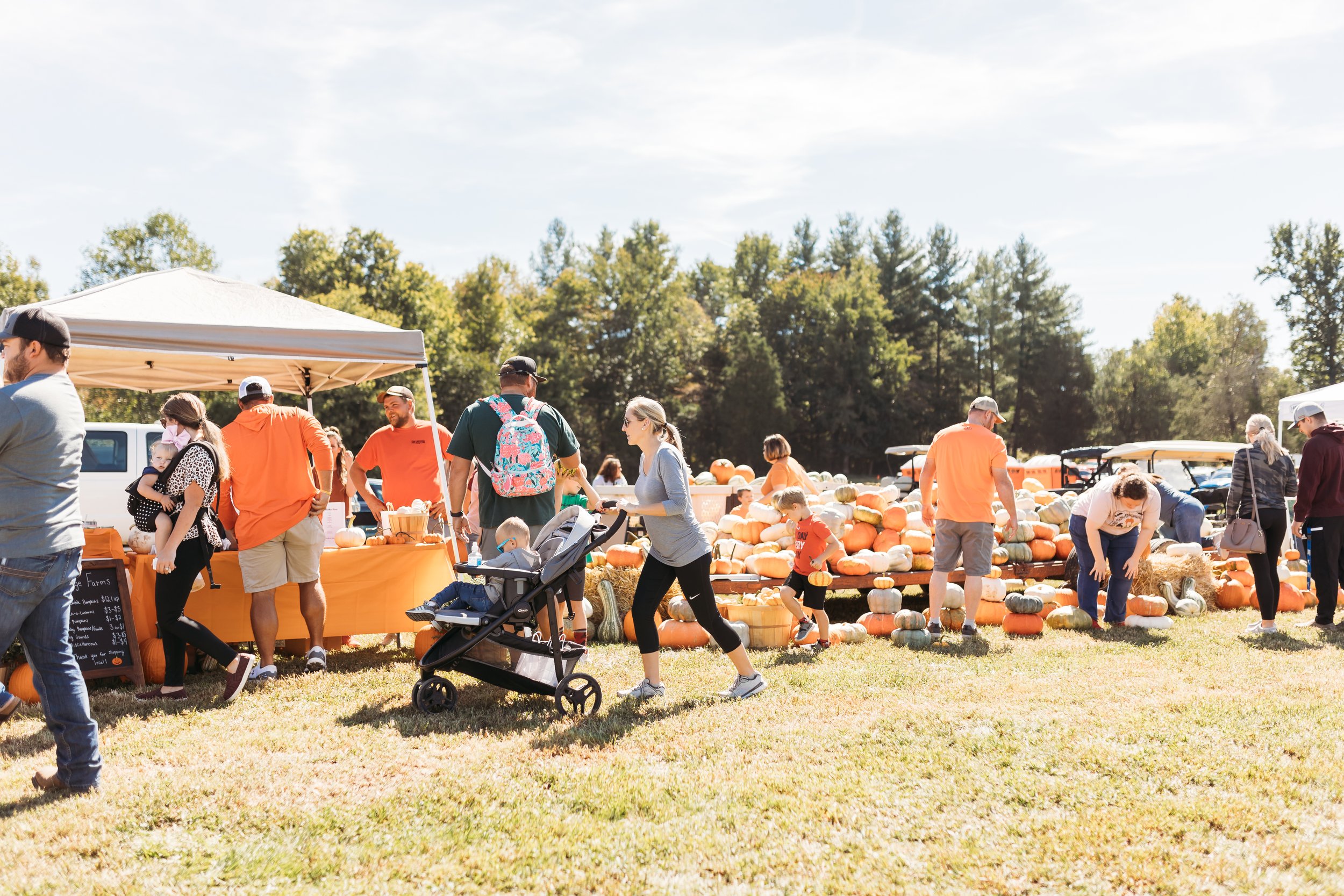 Fall Market Rides A look back at Previous Fall Markets — Hayden Farms