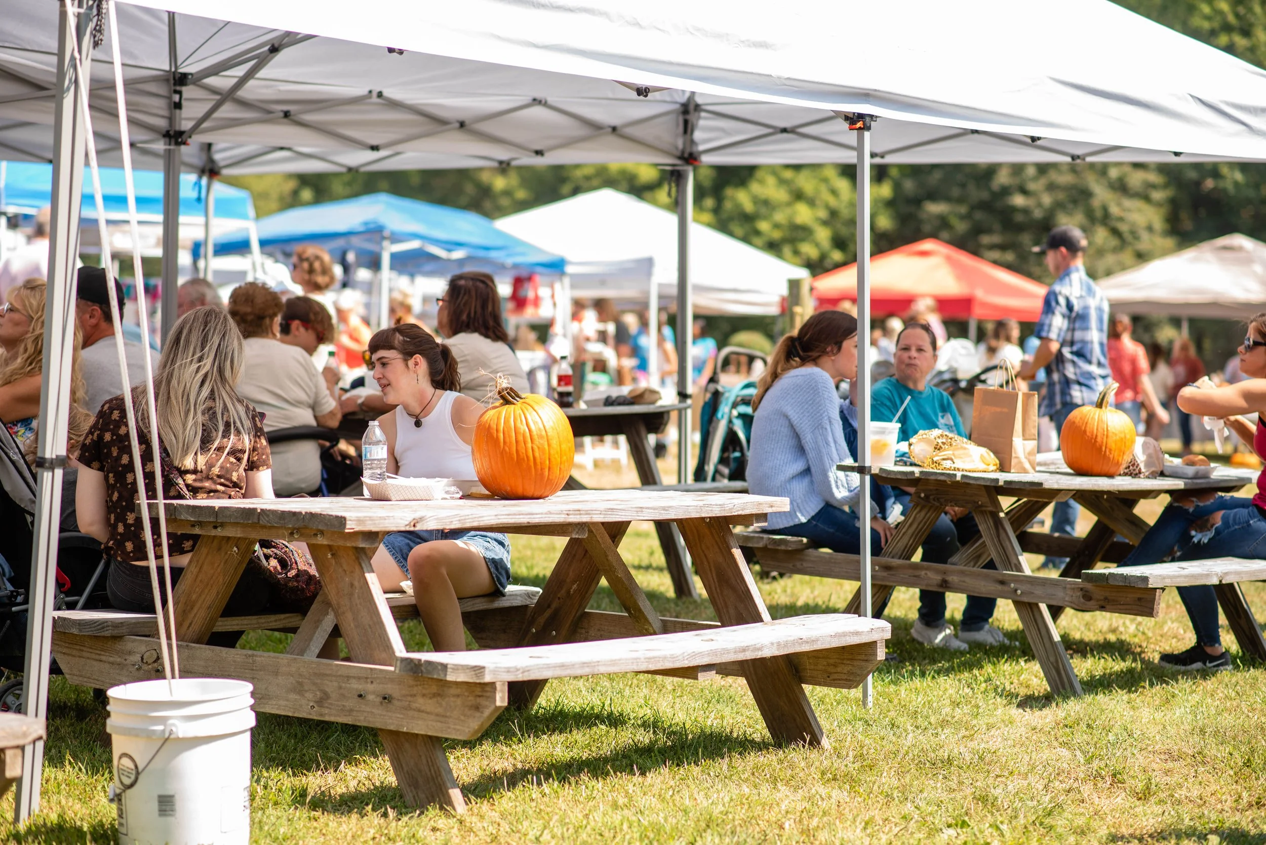 A look back at Previous Fall Markets — Hayden Farms