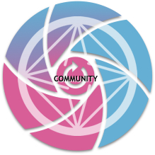 PiMov_Network_Community.jpg