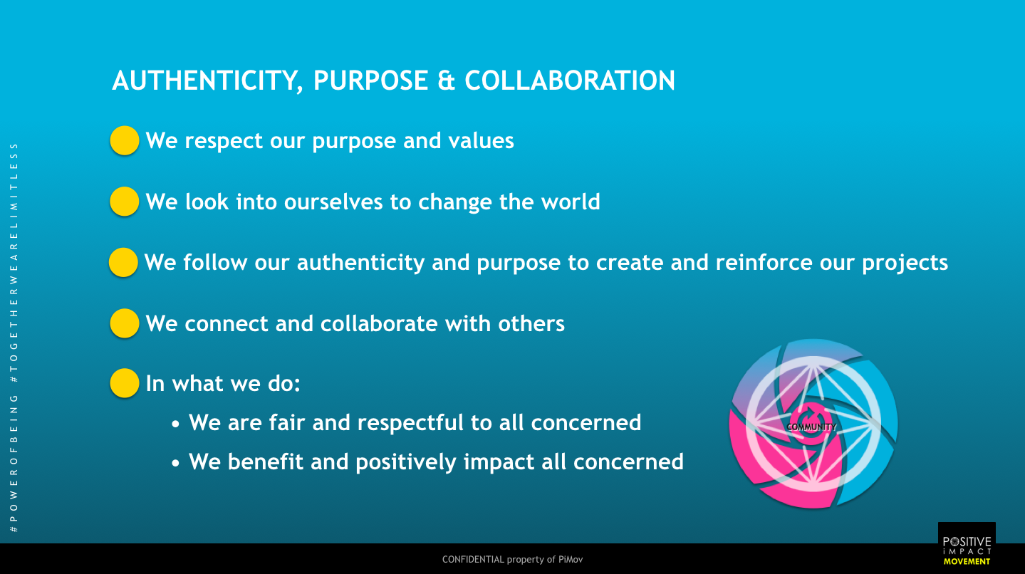 PiMov_Principles.png
