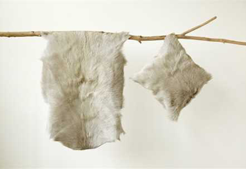 Goat Hide.png