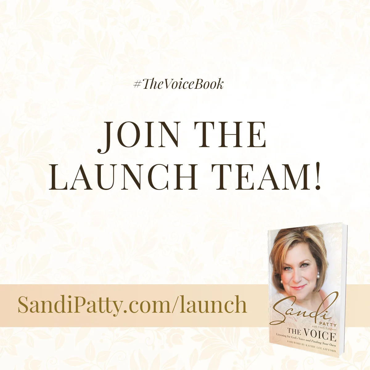 sandi-fb-cover-launchteam-social.jpg