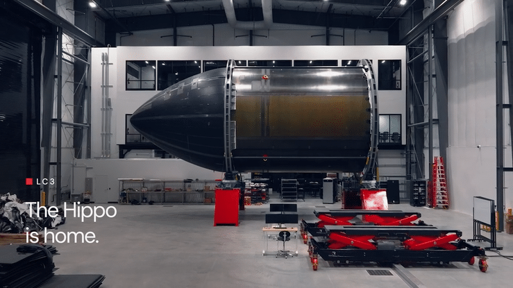 The Hippo is Home_Edit_v3-high.gif