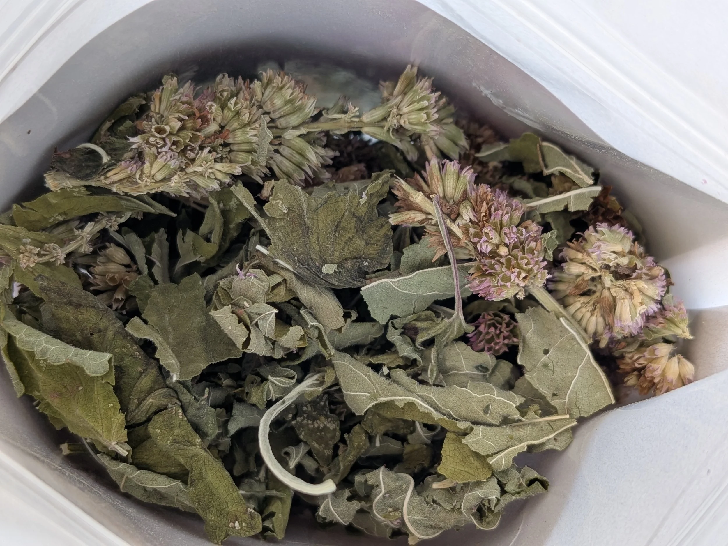 dried anise hyssop herb.jpg