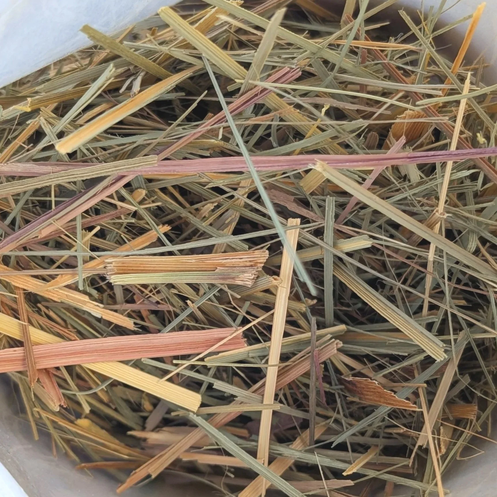 dried+lemongrass+herb.jpg