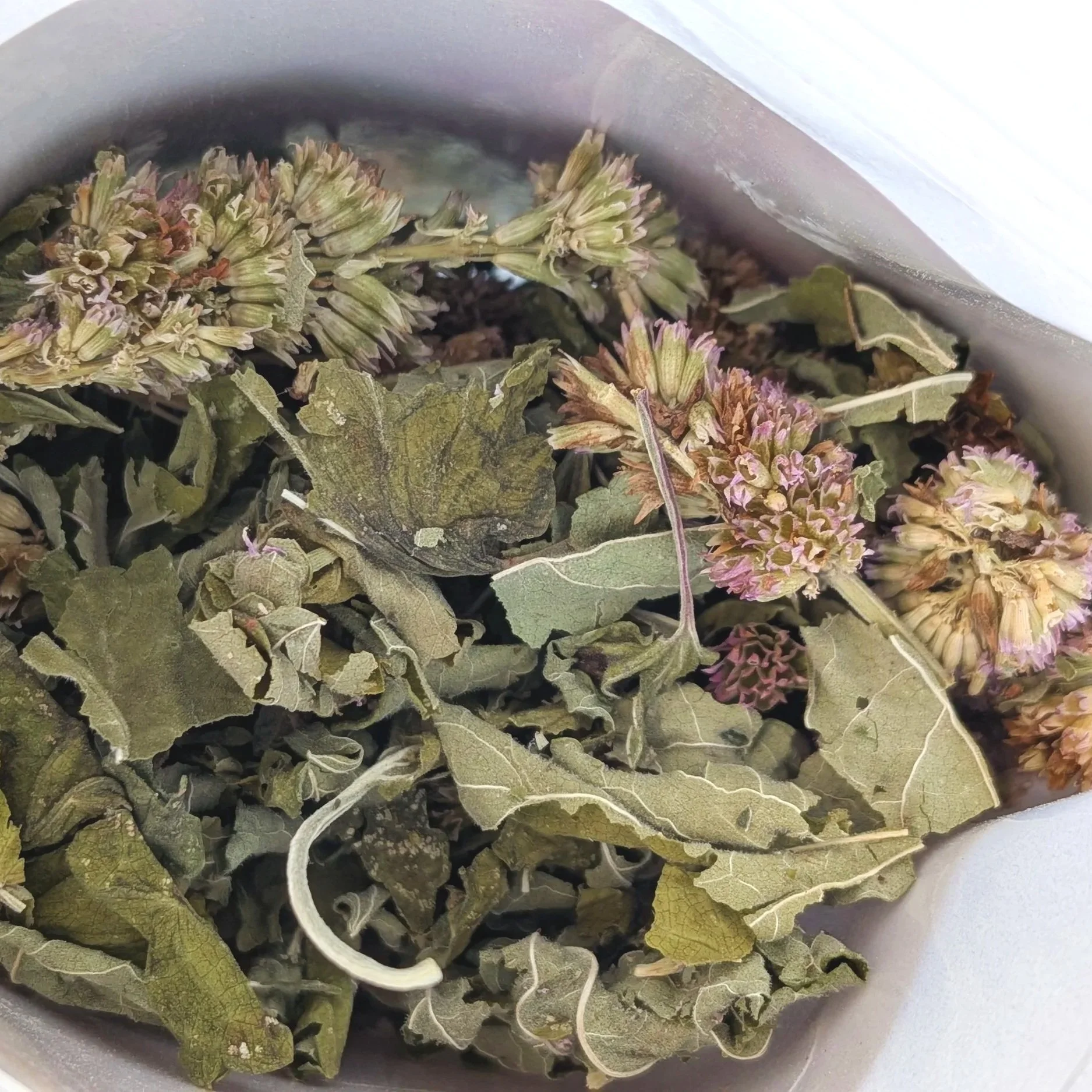 dried+anise+hyssop+herb.jpg