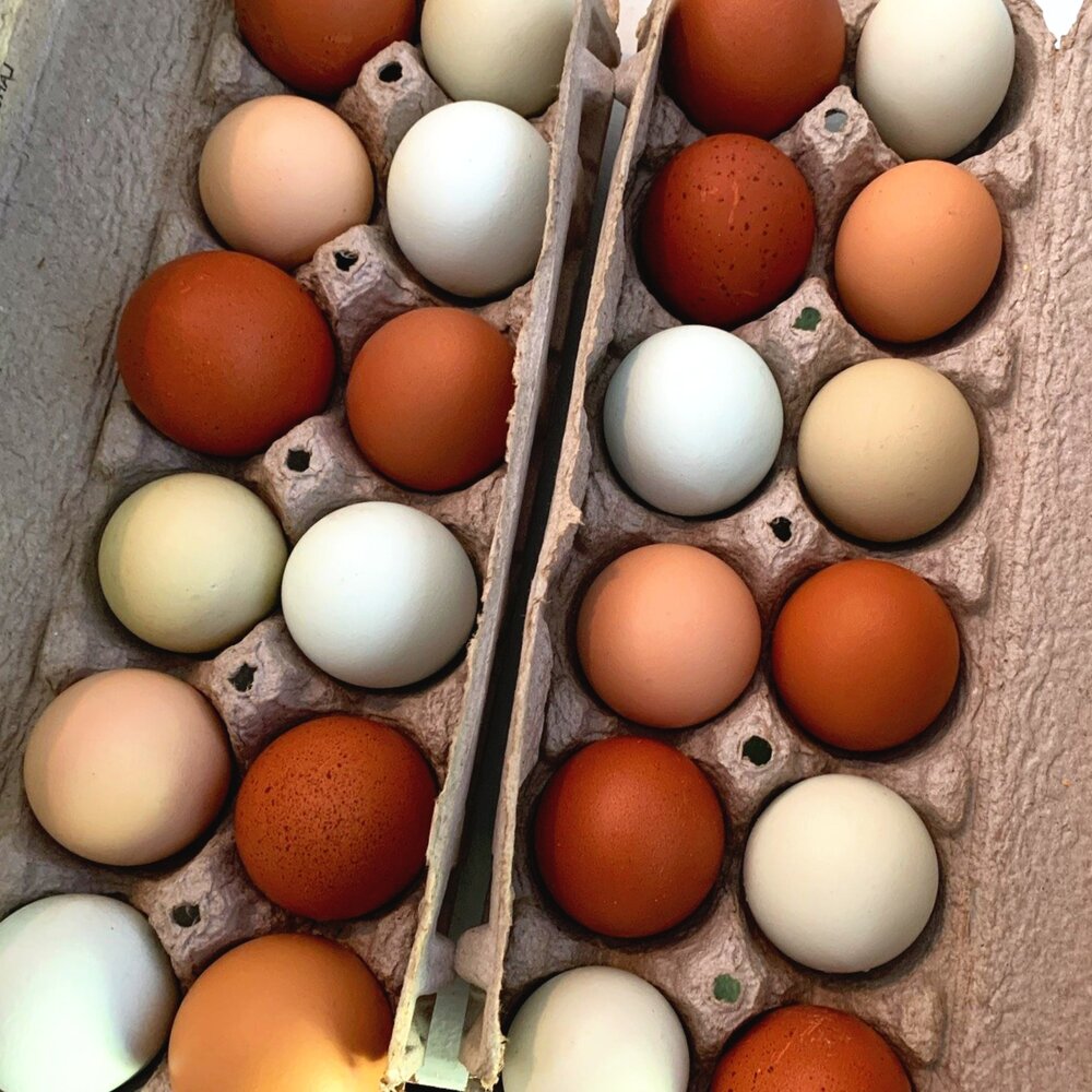 Farm Fresh Eggs Pre Order 4 10 11 Patchwork City Farms Farm Fresh Eggs Pre Order 4 10 11 Patchwork City Farms