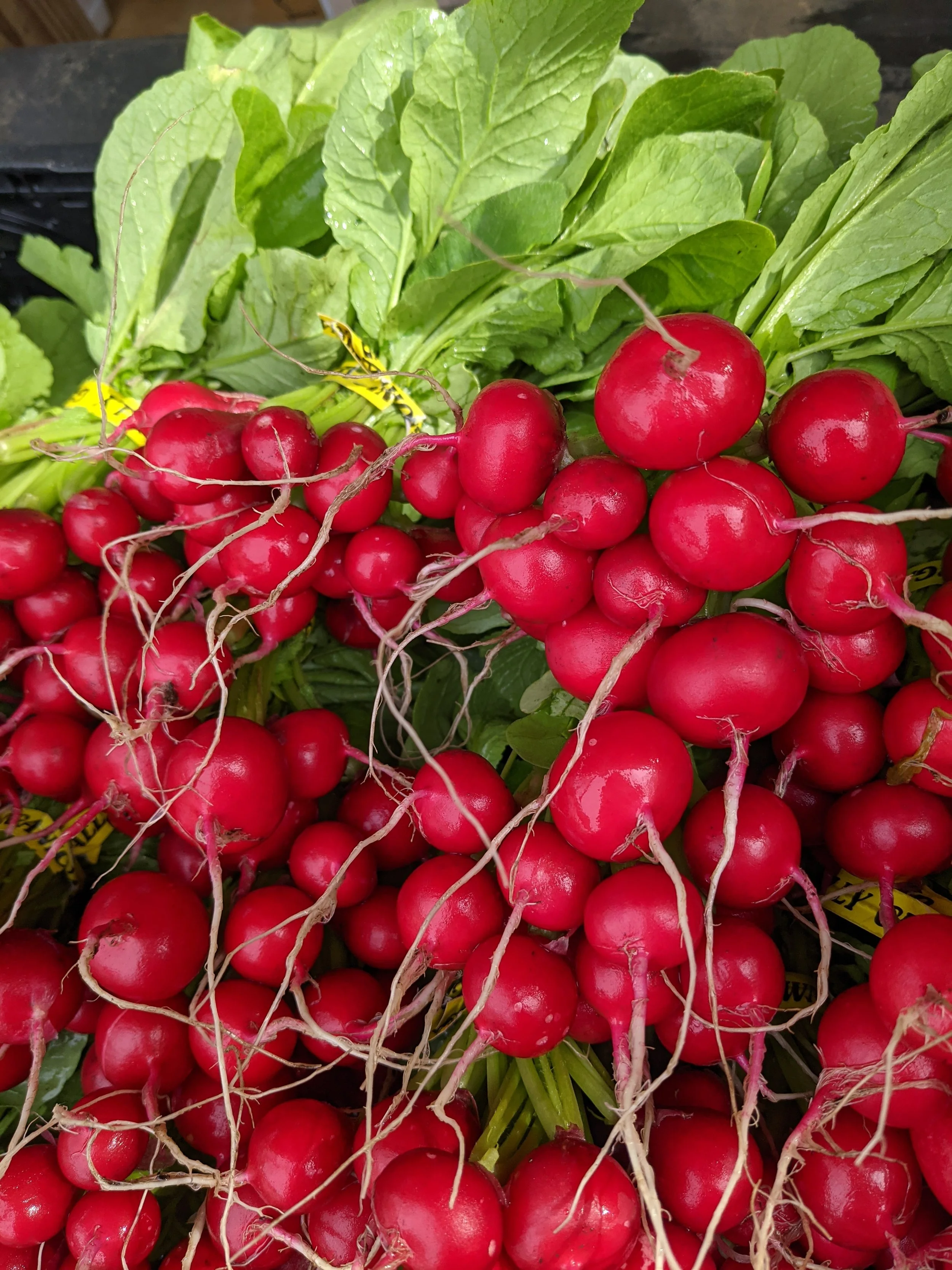 PXL_20211105_164652172 (1).jpg