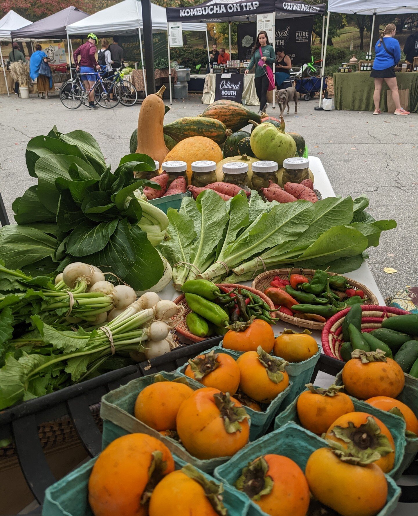 Happy Saturday!💚 Catch us at Oakhurst Farmer's Market and Piedmont Green Market today from 9 am- 1 pm! Today we'll have—
Arugula
Carrots
Green Onions
Kale
Hakurei Turnips
Sweet Potatoes
Spinach
Lettuce
Winter Squash
Shiitake