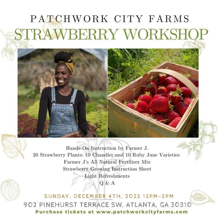 Join Farmer J of Patchwork City Farms and Host of Homegrown for a Strawberry Workshop! Come learn about growing strawberries and setting up your family's patch. We'll also learn how to grow in the ground, raised beds, and in containers. The workshop 