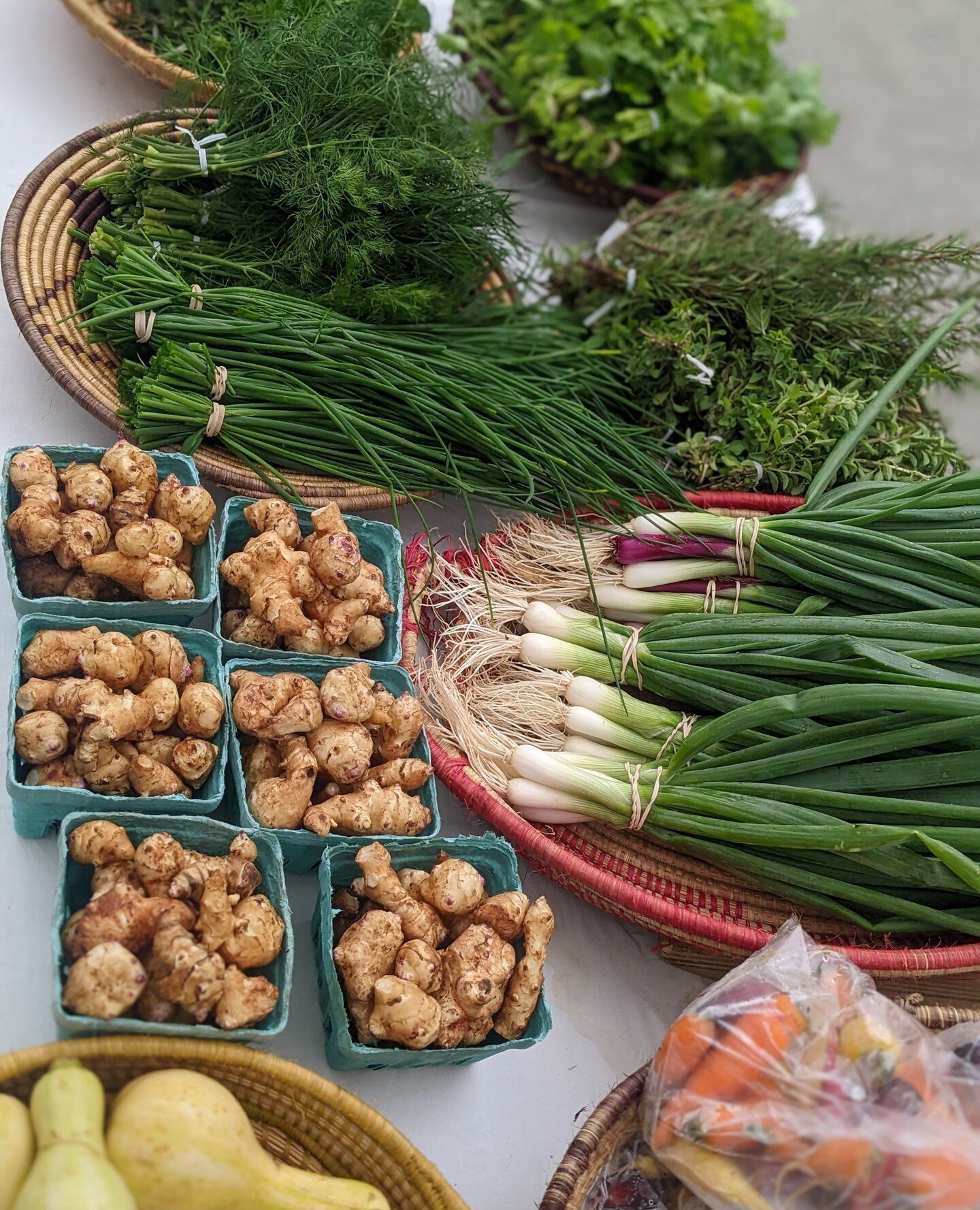 Catch us at Oakhurst Farmer's Market and Piedmont Green Market tomorrow from 9 am- 1 pm and grab all of your fresh veggies and herbs for your week! ⁠
⁠
P.S. The Farm is taking a few days off next week, so this is the last market we're doing before th