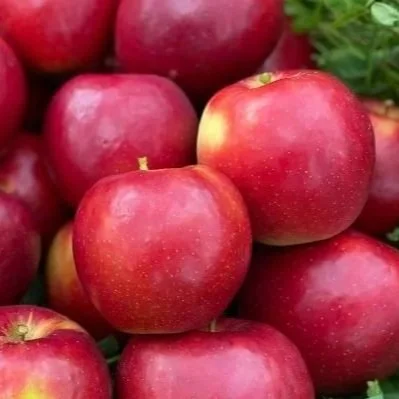 organic-apple-crimson-crisp.jpg