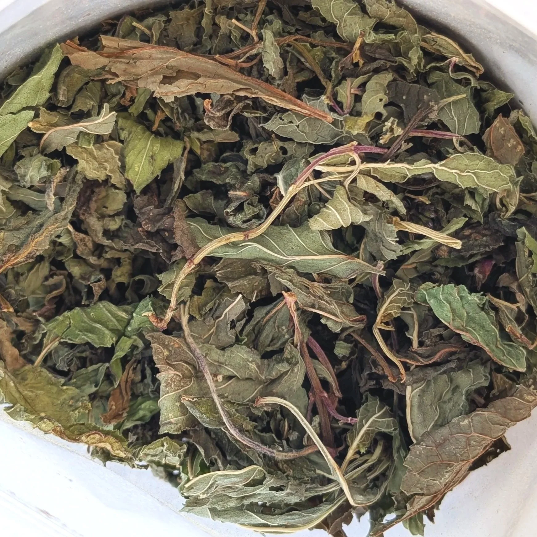 dried+mint+herb.jpg
