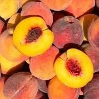 peach-august+lady.jpg