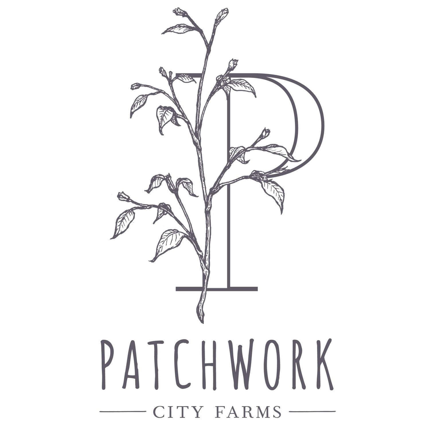 Patchwork City Farms