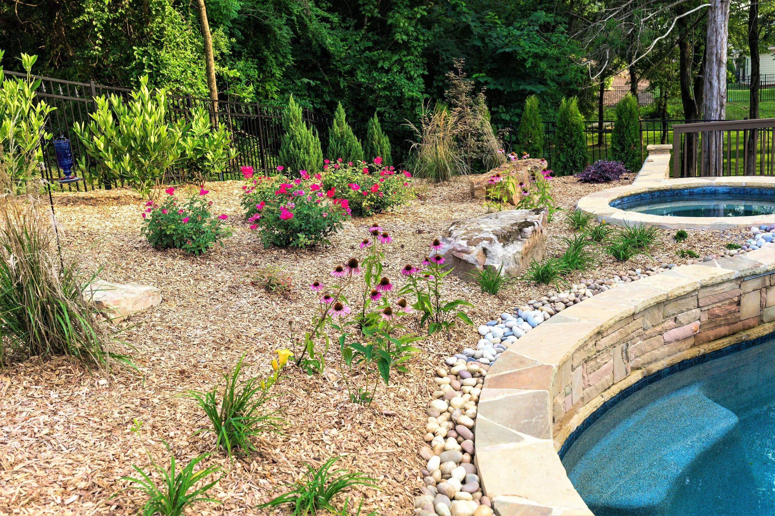 Low-Maintenance Plants for Around Your Pool in Chattanooga, Tennessee ...
