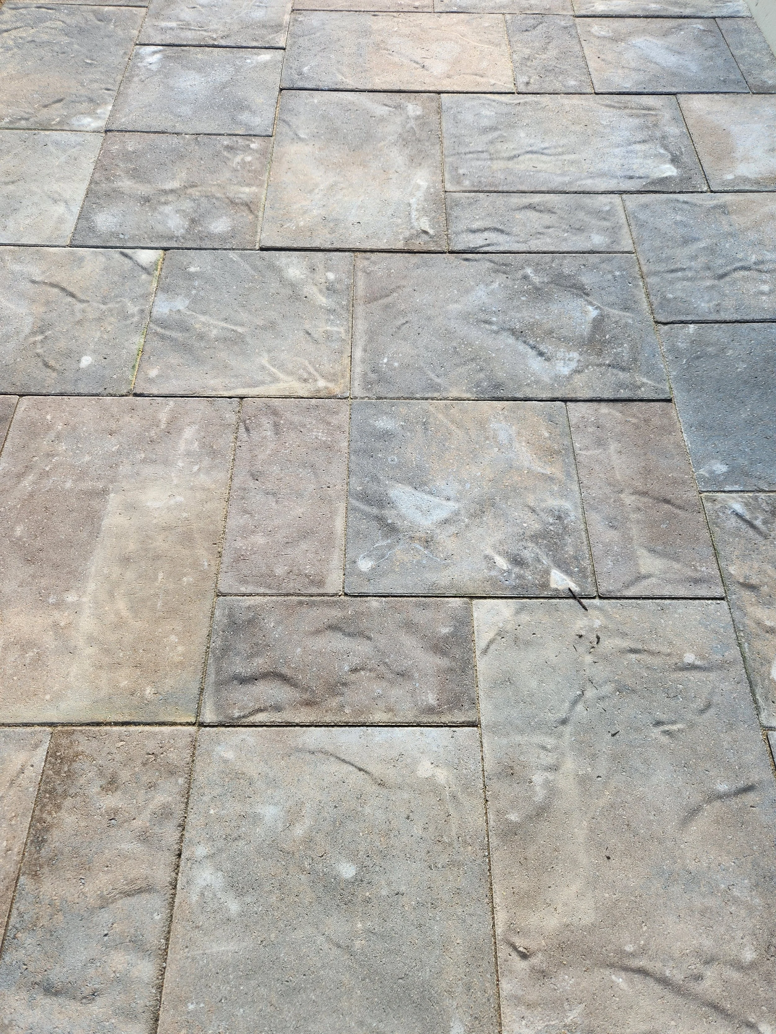 Belgard Origins12 | Potomac