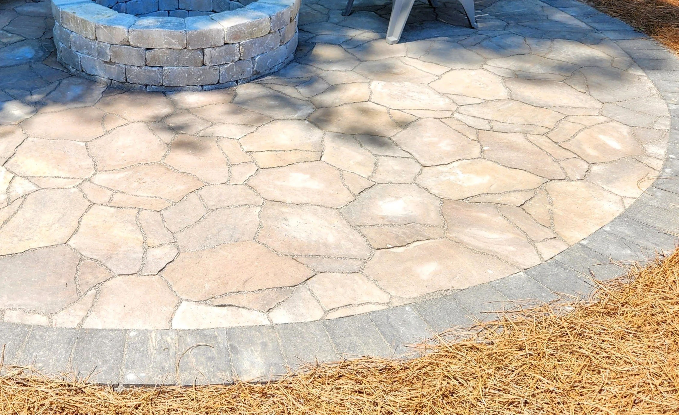 Mega-Arbel | Savannah