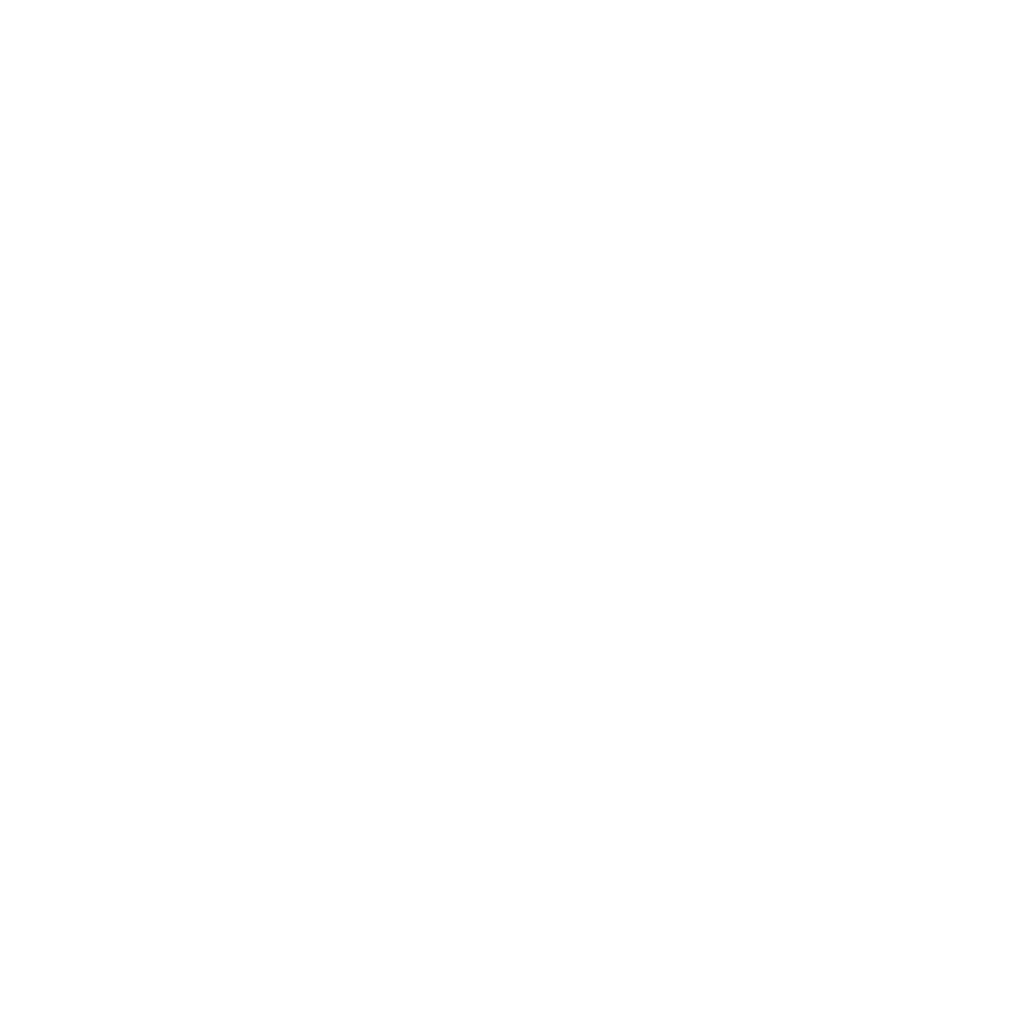 Pillar 2_Imitation.png